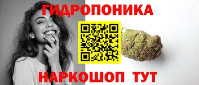 хмурый Боровичи