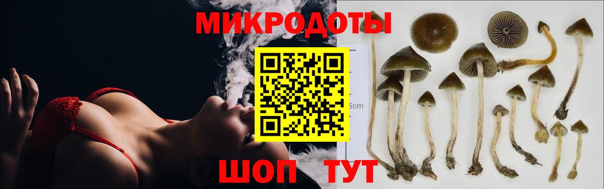 Галлюциногенные грибы Psilocybine cubensis  Вход с VPN  Боровичи 